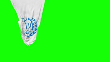 International Labour Organization, ILO Hanging Fabric Flag Waving in Wind 3D Rendering, Independence Day, National Day, Chroma Key, Luma Matte Selection of Flag video