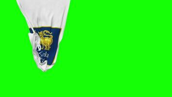 Sri Lanka Cricket, SLC Hanging Fabric Flag Waving in Wind 3D Rendering, Independence Day, National Day, Chroma Key, Luma Matte Selection of Flag video