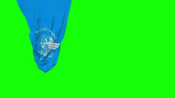 internacional civil aviación organización, OACI colgando tela bandera ondulación en viento 3d representación, independencia día, nacional día, croma llave, luma mate selección de bandera video