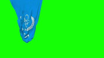 Internationale atomair energie bureau, iaea hangende kleding stof vlag golvend in wind 3d weergave, onafhankelijkheid dag, nationaal dag, chroma sleutel, luma matte selectie van vlag video
