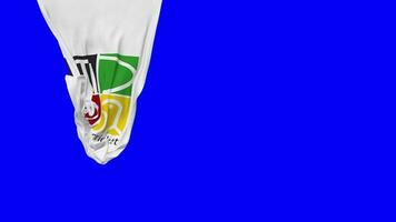 Zimbabwe Cricket, ZC Hanging Fabric Flag Waving in Wind 3D Rendering, Independence Day, National Day, Chroma Key, Luma Matte Selection of Flag video