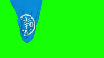 Food and Agriculture Organization, FAO Hanging Fabric Flag Waving in Wind 3D Rendering, Independence Day, National Day, Chroma Key, Luma Matte Selection of Flag video