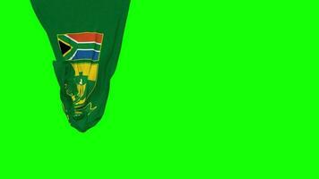 cricket Sud Africa, csa sospeso tessuto bandiera agitando nel vento 3d rendering, indipendenza giorno, nazionale giorno, croma chiave, luma Opaco selezione di bandiera video