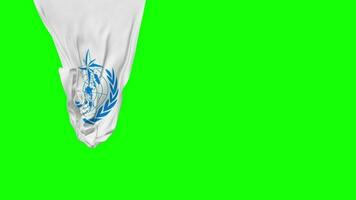 World Meteorological Organization, WMO Hanging Fabric Flag Waving in Wind 3D Rendering, Independence Day, National Day, Chroma Key, Luma Matte Selection of Flag video