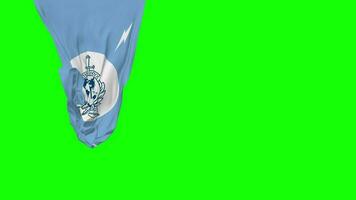 International Criminal Police Organization, ICPO, INTERPOL Hanging Fabric Flag Waving in Wind 3D Rendering, Independence Day, National Day, Chroma Key, Luma Matte Selection of Flag video