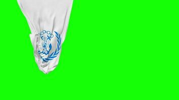 International Maritime Organization, IMO Hanging Fabric Flag Waving in Wind 3D Rendering, Independence Day, National Day, Chroma Key, Luma Matte Selection of Flag video