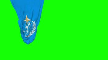 monde météorologique organisation, wmo pendaison en tissu drapeau agitant dans vent 3d le rendu, indépendance jour, nationale jour, chrominance clé, luma mat sélection de drapeau video