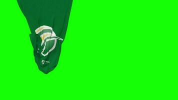 Cricket South Africa, CSA Hanging Fabric Flag Waving in Wind 3D Rendering, Independence Day, National Day, Chroma Key, Luma Matte Selection of Flag video