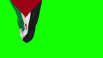 sahrawi Arabisch democratisch republiek hangende kleding stof vlag golvend in wind 3d weergave, onafhankelijkheid dag, nationaal dag, chroma sleutel, luma matte selectie van vlag video