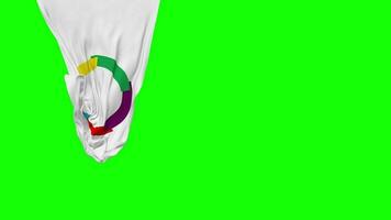 Organisation internationale de la Francophonie, OIF Hanging Fabric Flag Waving in Wind 3D Rendering, Independence Day, National Day, Chroma Key, Luma Matte Selection of Flag video