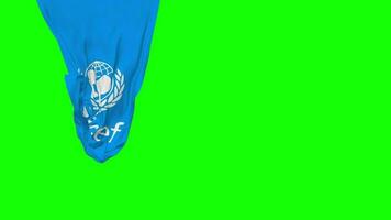 Unidos nações crianças fundo, unicef suspensão tecido bandeira acenando dentro vento 3d Renderização, independência dia, nacional dia, croma chave, luma fosco seleção do bandeira video