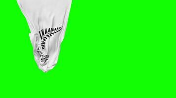 nieuw Zeeland krekel, nzc hangende kleding stof vlag golvend in wind 3d weergave, onafhankelijkheid dag, nationaal dag, chroma sleutel, luma matte selectie van vlag video