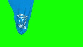 United Nations Educational, Scientific and Cultural Organization, UNESCO Hanging Fabric Flag Waving in Wind 3D Rendering, Independence Day, National Day, Chroma Key, Luma Matte Selection of Flag video