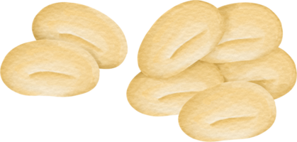 acuarela soja frijol png