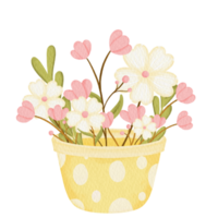 vattenfärg blomma pott png