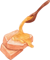 clipart de miel de acuarela png