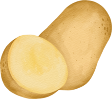 aquarelle Patate agrafe art png