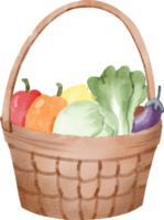 watercolor vegetable basket png