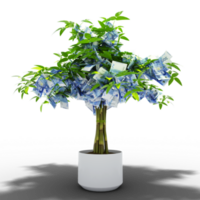 Moroccan Dirham tree. 3d rendering of Money on tree isolated on transparent background. financial growth png