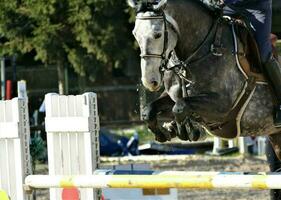 Horse with jockey jumping in motion photo