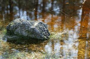 Forest water with yellow sand and stones. Glare from the sun on the water and beautiful amber veins. Reflection of trees in water. Photo in high quality. Horizontal.