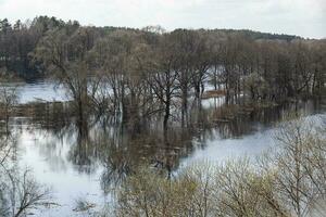 Floods in the spring forest. Sunny spring day and blue sky. Reflection in the blue water. View from above. Photo in high quality. Horizontal