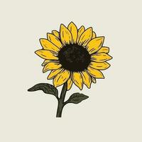 Yellow sunflower flower on a white background, design element, vector icon.