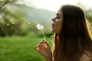 Portrait of a young woman in profile with a dandelion flower in her hand blowing on it and smiling against the green summer grass in the setting sun in nature photo