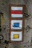Tourist sign on tree bark. Marking of tourist routes photo
