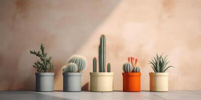 three small potted cactus plants on concrete in front of a brightly colored wall photo