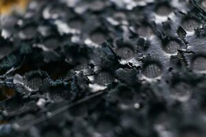 Abstract Black background with swirl and colorful motifs photo