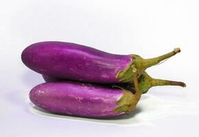 Eggplant isolated on white background. eggplant on a white background photo