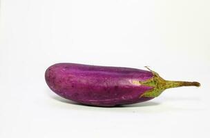 Eggplant isolated on white background. eggplant on a white background photo