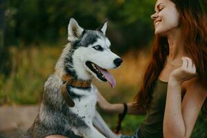 A woman with a husky breed dog smiles and affectionately strokes her beloved dog while walking in nature in the park in autumn against the backdrop of sunset photo