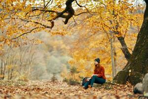 travel tourism woman model in autumn forest falling leaves landscape nature park photo