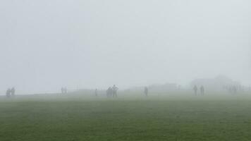 personas atrapado por un rápido Moviente niebla banco foto