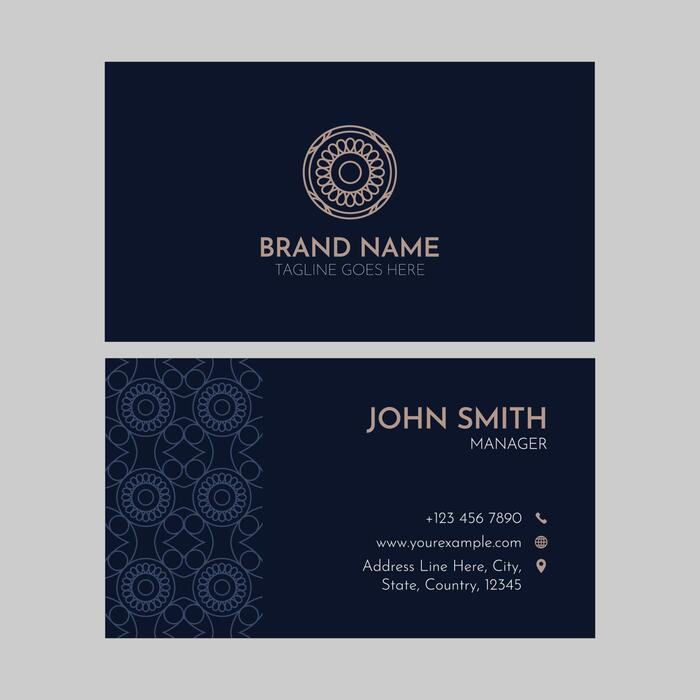 Presentation Card.。.:⋈*【 L 】 Simple Professional Exquisite White CEO Business Card | Zazzle