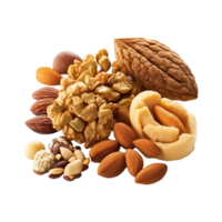 amandes des noisettes isolé sur blanc ou transparent Contexte. génératif ai png