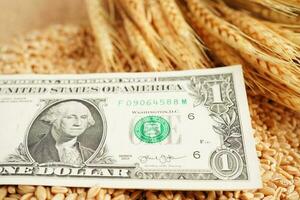 Wheat grains with US dollar banknotes, trade export and economy concept. photo