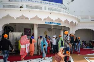 amritsar, India - febrero 26 2023 - no identificado devotos desde varios partes a dorado templo - harmandir sahib en amritsar, Punjab, India, famoso indio sij punto de referencia, dorado templo foto