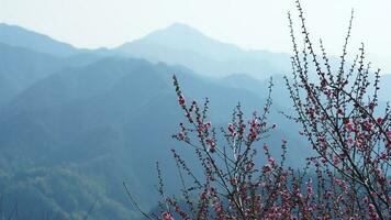 The beautiful mountains view from the top of the hill in spring photo