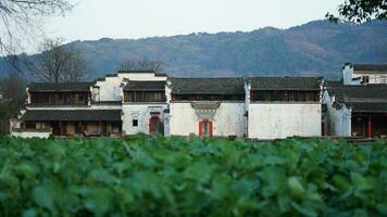 The beautiful traditional Chinese village view with the classical architecture and fresh green trees as background photo