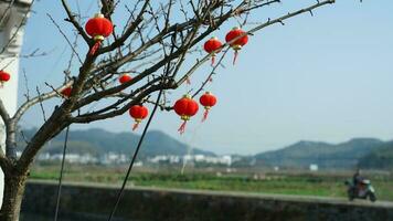 The red Chinese lantern hanging up during the festival days for the good blessing photo