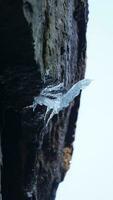 The frozen ice view on the rock in winter photo