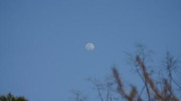 The blue sky view with the round white moon in the sky in the day photo