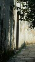 The beautiful traditional Chinese village view with the classical architecture and fresh green trees as background photo