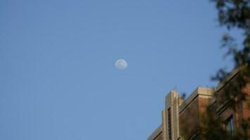The blue sky view with the round white moon in the sky in the day photo