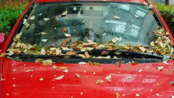 The colorful autumn leaves dropped on the car in the rainy day photo