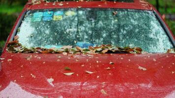 The colorful autumn leaves dropped on the car in the rainy day photo