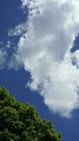 The beautiful sky view with the white clouds and blue sky as background in summer photo